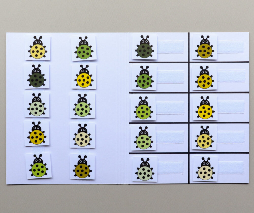 Matchmap kleuren thema lieveheersbeestjes - Leerbubbels