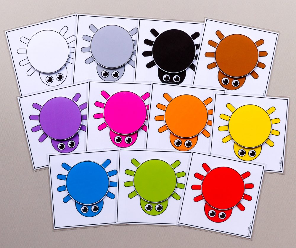 Matchkaarten kleuren thema spinnen