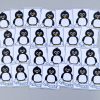 Schrijfkaarten hoofdletters thema pinguïns